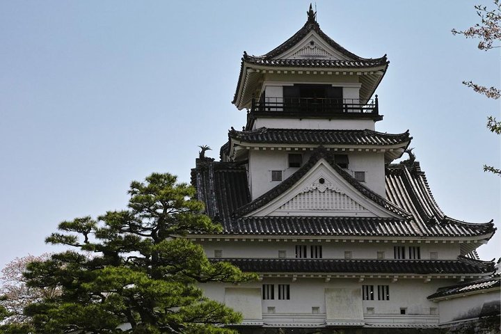 1-Day Kochi Highlights Tour with local guide