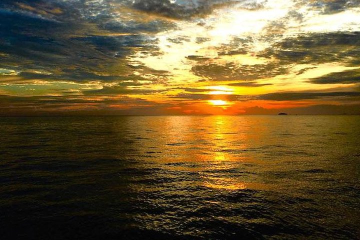 Snorkeling Phi Phi Islands Tour From Phi Phi by Speedboat