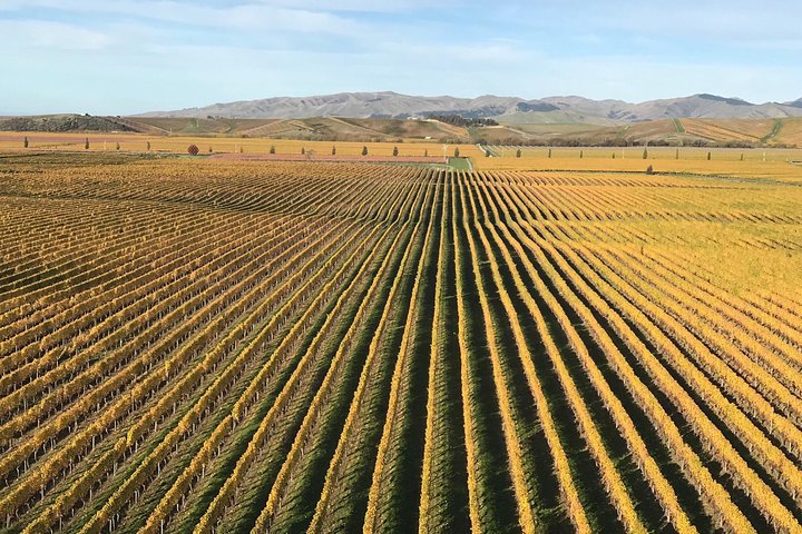 Full-Day Wine Gourmet and Scenic Delight Tour of Marlborough from Blenheim