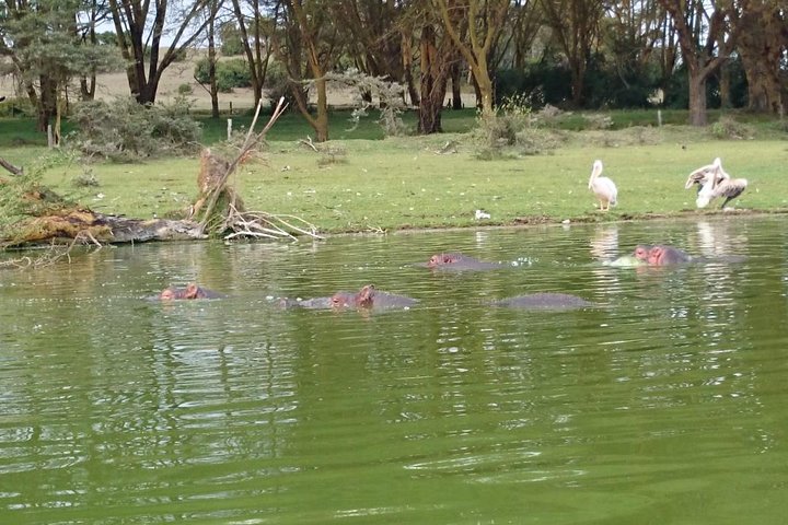 Nairobi: Hell's Gate National Park & Lake Naivasha Day Trip