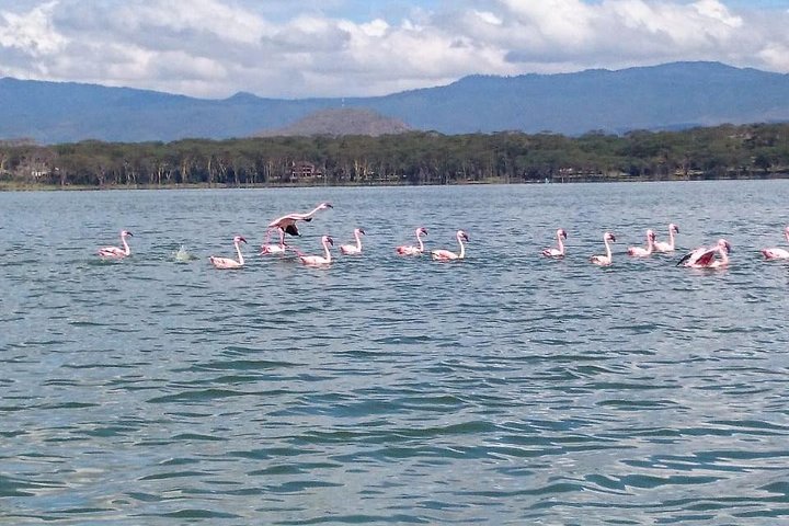 Nairobi: Hell's Gate National Park & Lake Naivasha Day Trip