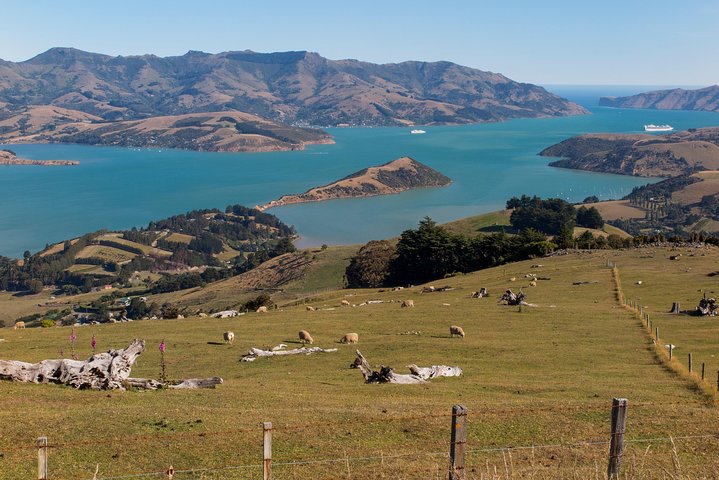 Private Day Scenic Excursion to Akaroa/Christchurch ex Lyttelton