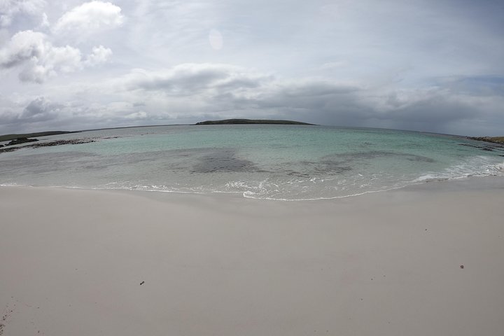 Bertha’s Beach & Beyond - Your Falklands, Your Way!