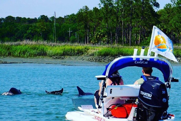 Hilton Head Island Guided Water Tour by Creek Cat Boat