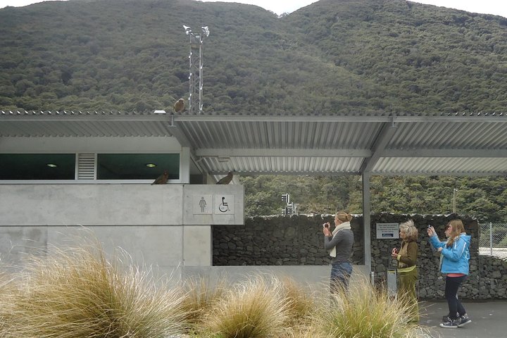 Arthurs Pass and Southern Alps Day Excursion from Port Lyttelton or Christchurch