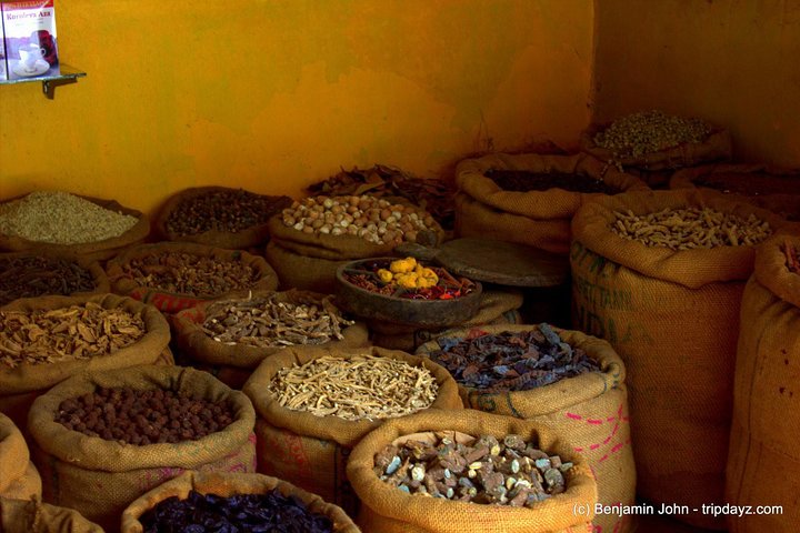 Kochi Tour Guide -A Heritage walking tour in Fort kochi and Mattancherry !