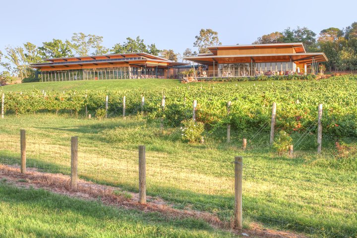 Yarra Valley Wine & Winery Tour from Melbourne - All Inclusive!