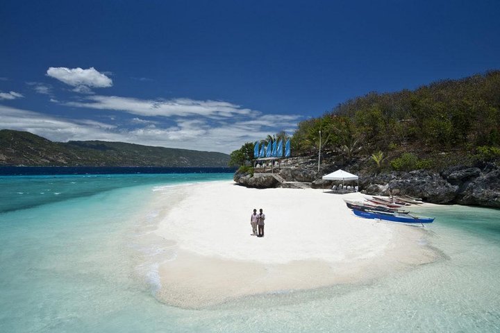 Whale Shark & Tumalog Falls & Sumilon Sandbar & Pescador Island with Sardines