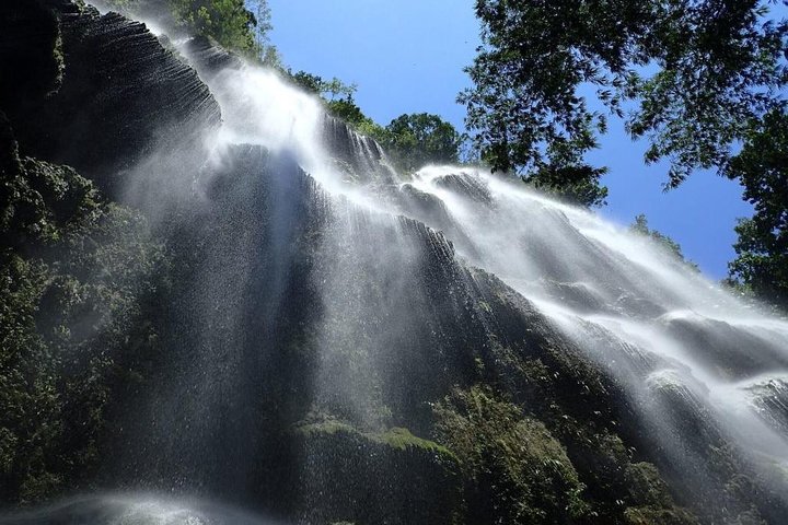 Whale Shark & Tumalog Falls & Sumilon Sandbar & Pescador Island with Sardines