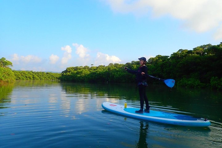 Okinawa Ishigaki Mangrove SUP or Canoe Tour