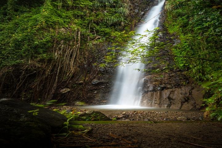 Dark View Falls Tour with Trubb Taxi Tours SVG