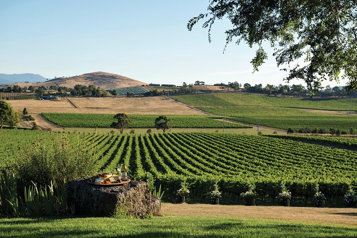 Ultimate Yarra Valley Chandon, Soumah & De Bortoli Cheese & Wine
