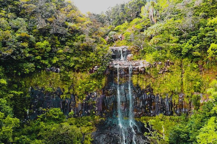 Enchanting South West - Full Day Tour with CASELA Park and Lunch