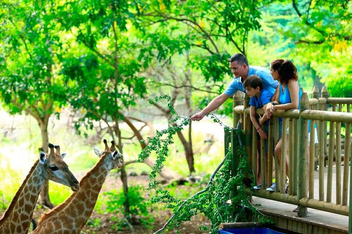 Enchanting South West - Full Day Tour with CASELA Park and Lunch