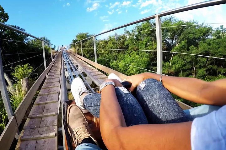 Enchanting South West - Full Day Tour with CASELA Park and Lunch