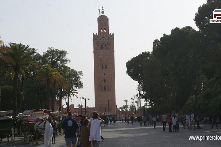 Marrakech Guided Day Trip from Agadir: Medina & Souks Tour
