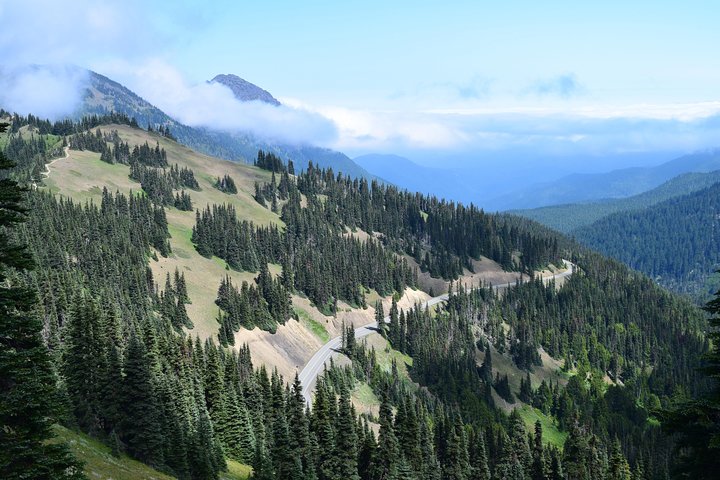 Sol Duc, Lake Crescent, and Hurricane Ridge Guided Tour in Olympic National Park