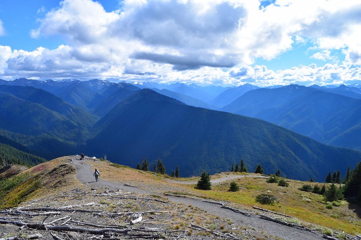 Sol Duc, Lake Crescent, and Hurricane Ridge Guided Tour in Olympic National Park