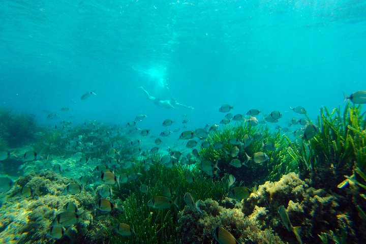 Cabo de Gata Active. Guided kayak and snorkel route through coves of the Natural Park