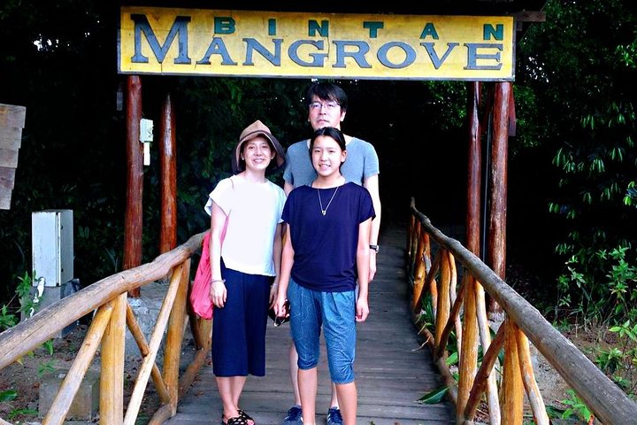 Bintan Mangrove Discovery Tour