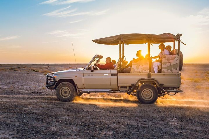 2-Day Private Tour from Amman: Petra, Wadi Rum Camp & Dead Sea.