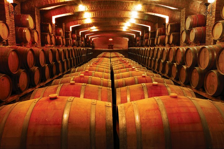 Pre or Post San Antonio Cruise with Santiago City Tour and optional Vineyard
