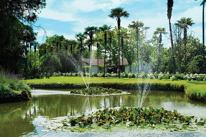 Pre or Post San Antonio Cruise with Santiago City Tour and optional Vineyard