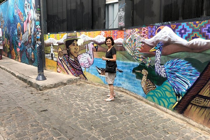 PRIVATE TOUR: Pre-Post Cruise Viña del Mar Valparaiso and Casablanca Winery tour