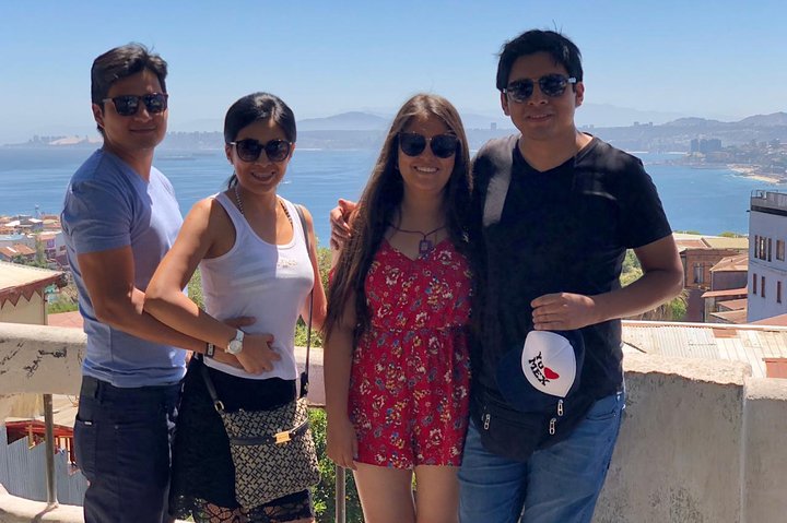 PRIVATE TOUR: Pre-Post Cruise Viña del Mar Valparaiso and Casablanca Winery tour