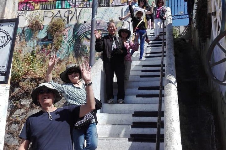 PRIVATE TOUR: Pre-Post Cruise Viña del Mar Valparaiso and Casablanca Winery tour