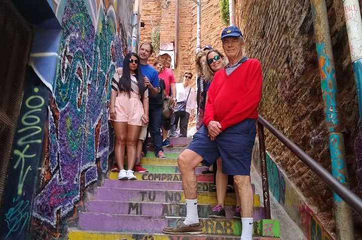 PRIVATE TOUR: Pre-Post Cruise Viña del Mar Valparaiso and Casablanca Winery tour
