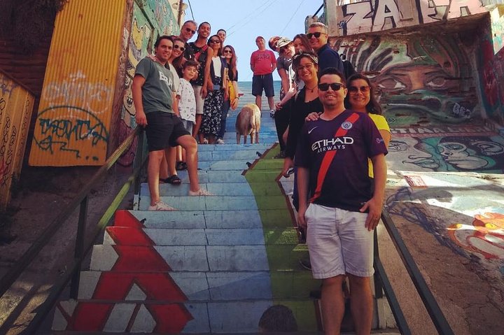 PRIVATE TOUR: Pre-Post Cruise Viña del Mar Valparaiso and Casablanca Winery tour