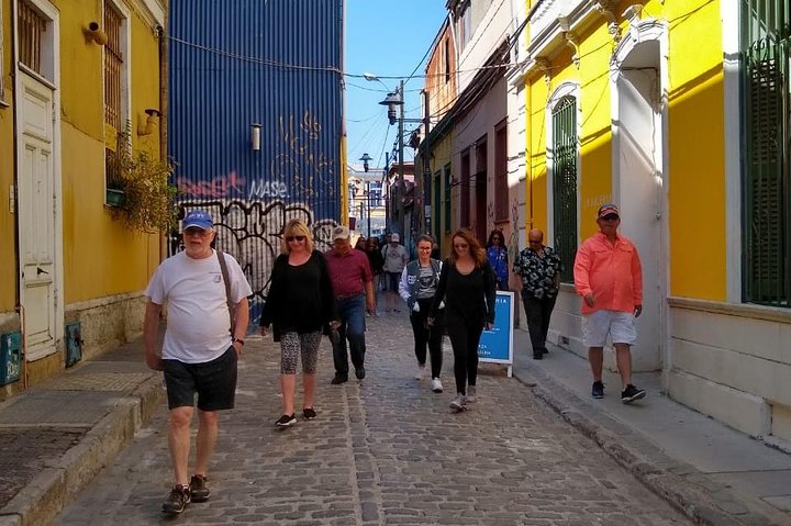 PRIVATE TOUR: Pre-Post Cruise Viña del Mar Valparaiso and Casablanca Winery tour