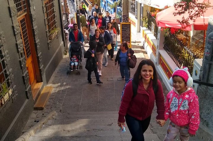 PRIVATE TOUR: Pre-Post Cruise Viña del Mar Valparaiso and Casablanca Winery tour