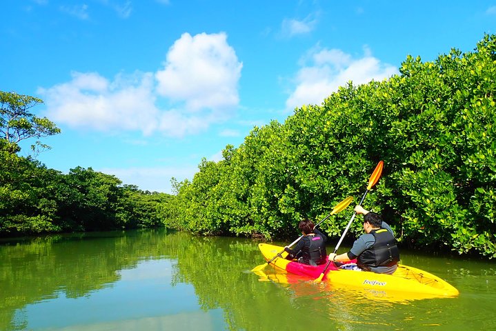 Okinawa Ishigaki Mangrove SUP or Canoe Tour