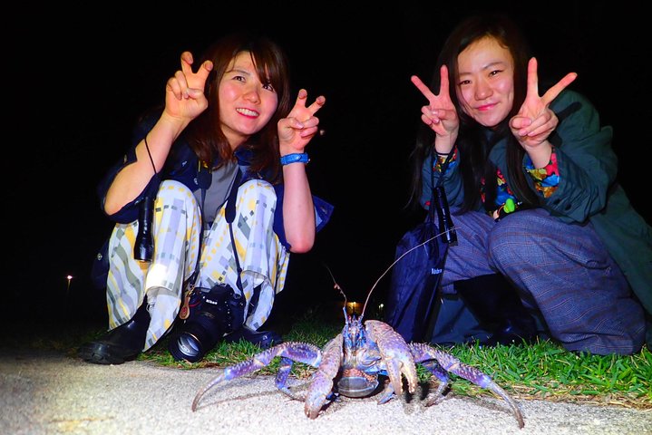 Okinawa Ishigaki Island Night Starry sky and Jungle night tour