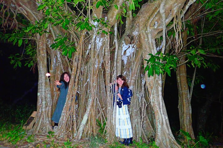 Okinawa Ishigaki Island Night Starry sky and Jungle night tour