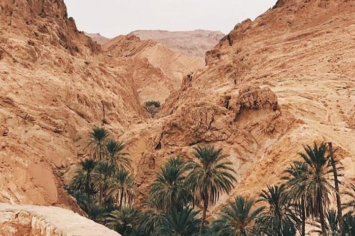 Tamerza Canyon Oasis Tour