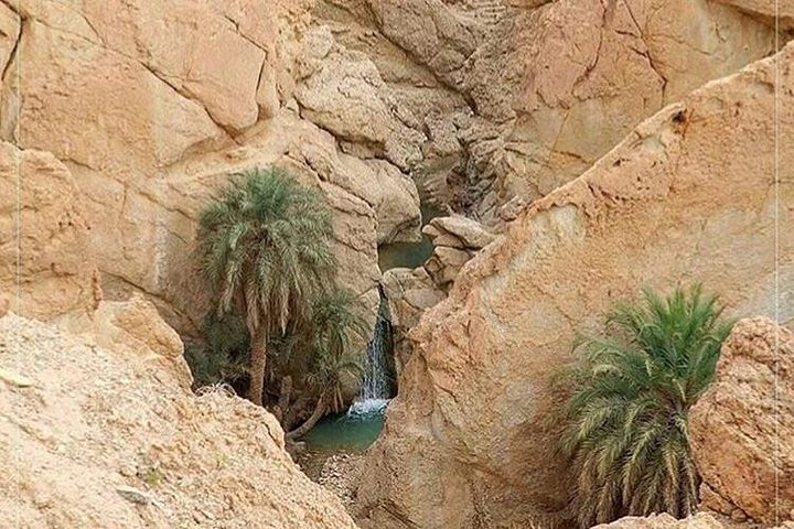 Tamerza Canyon Oasis Tour