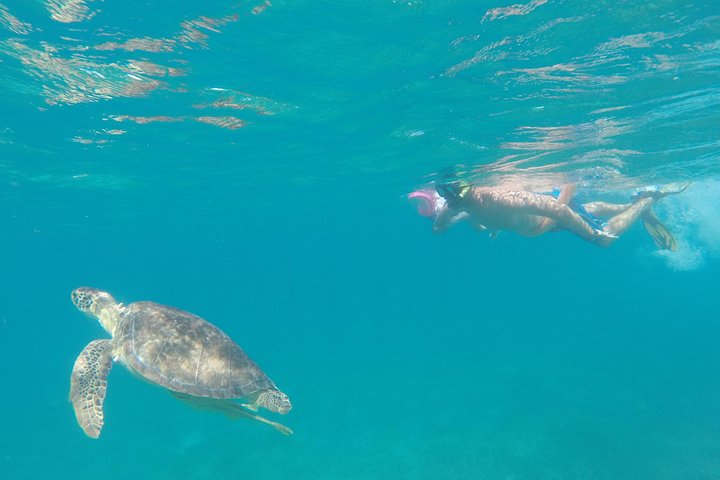 Captain Bob Speed Boat, Snorkeling, Beach Tour & Lunch St Maarten