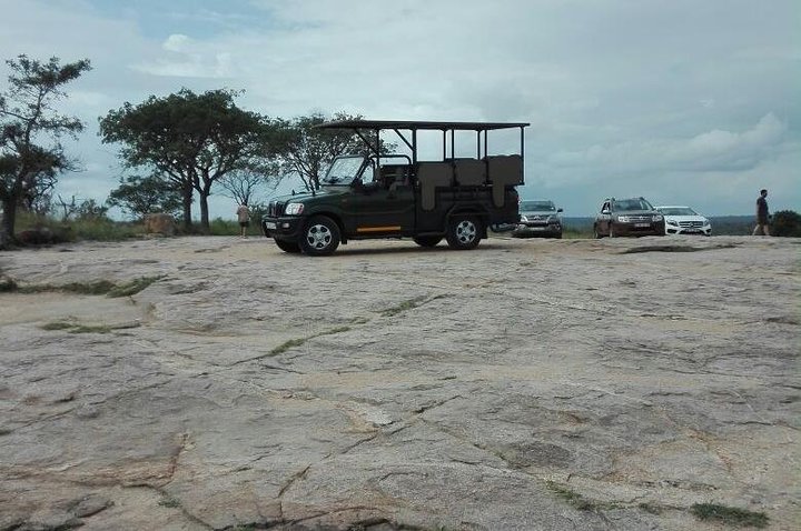 Kruger National Park Half Day Game Drive