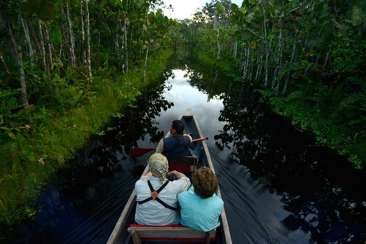 Tour Amazon Yasuni 5D - 4N