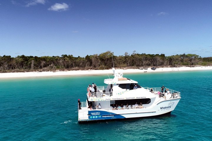Hervey Bay Whale Watching Experience