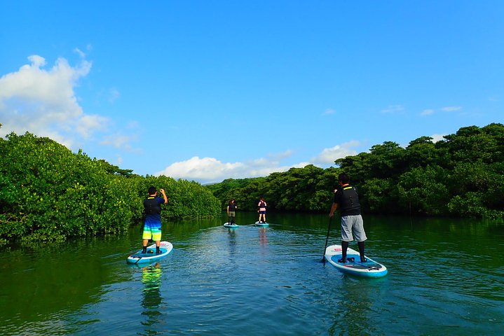 Okinawa Ishigaki Mangrove SUP or Canoe Tour