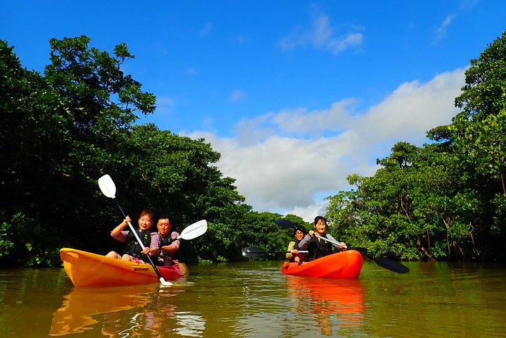 Okinawa Ishigaki Mangrove SUP or Canoe Tour