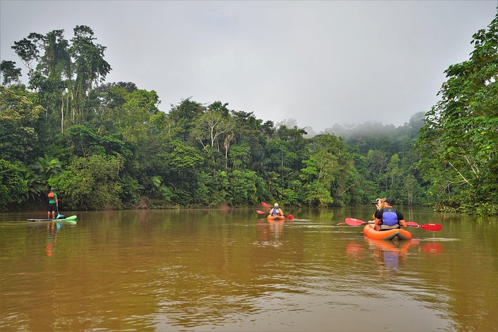 5-Day Amazon Camping and Kayaking Discover Yasuni
