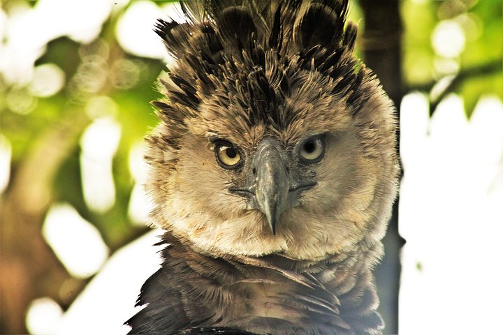 5-Day Amazon Camping and Kayaking Discover Yasuni