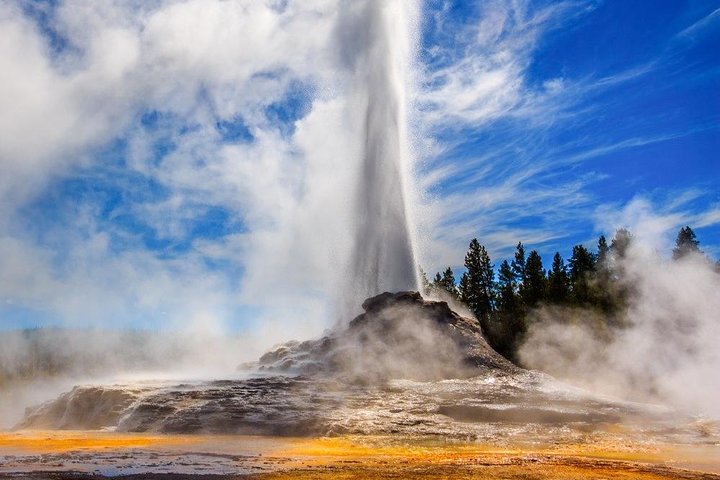 Private Yellowstone National Park Tour (Upper Loop)