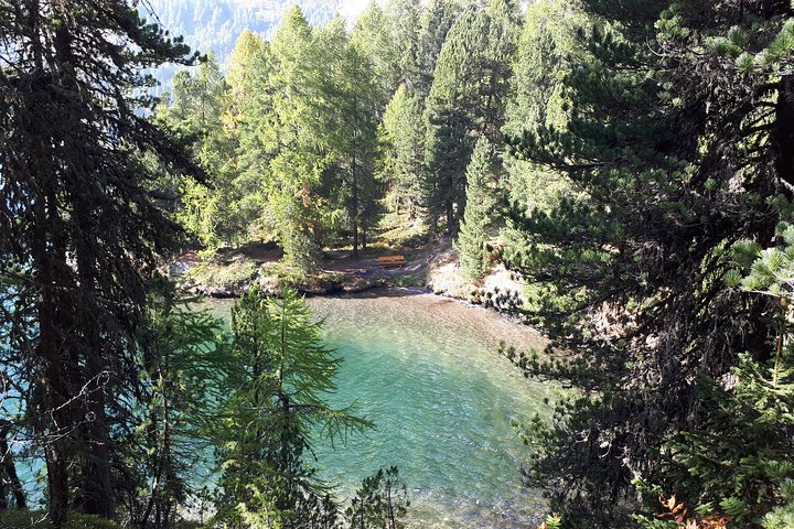 St Moritz Private Guided Panorama Hike