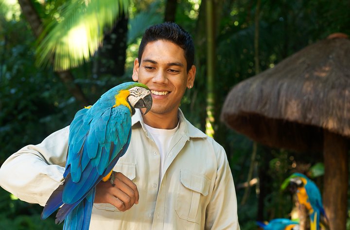 Iguassu Falls Brazilian Side: Macuco Safari, Helicopter Flight and Bird Park